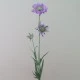 Silk Scabious Flowers Lilac 64cm | Artificial Scabiosa - S059 U4