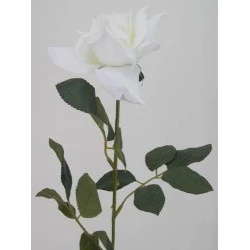 White Tea Rose 67cm - R034 