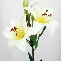 Silk Tiger Lilies Ivory 77cm - L009 I1
