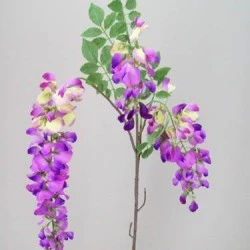 Wisteria Stem Purple - W014 S4