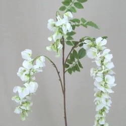 Wisteria Stem White - W016 S1