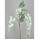 Wisteria Stem White - W016 S1
