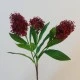 Artificial Skimmia Japonica Rubella Red 60cm - S029 