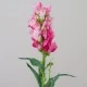Artificial Snapdragons Pink 59cm - S002 R2