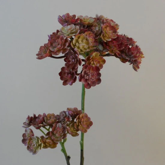Artificial Echeveria Spray Red 48cm - SUC034 BX1