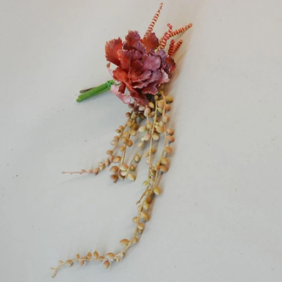 Trailing Succulents Bundle Orange - SUC036 JJ2