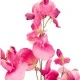 Carousel Sweet Peas Pink 74cm - S083 R2
