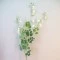 Extra Long Artificial Sweet Peas Stem Cream - S114 A1 Extra Long Artificial Sweet Peas Stem Cream - S114 A1
