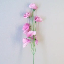 Luxury Artificial Sweet Peas Stem Mauve Pink - S102 Q2