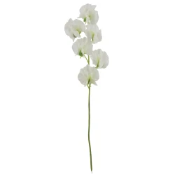 White Sweet Peas Stem 42cm - S143