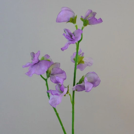 Sweet Peas Stem Lilac - S121 R2