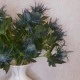 Wild Sea Holly Thistles Aqua Blue 67cm - E020 E3