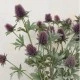 Artificial Thistles Purple 77cm - T049 