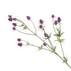 Mini Artificial Thistles Purple 81cm - T012 BB4