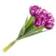 Artificial Bicolour Tulips Bundle Purple 40cm - T017 Q3