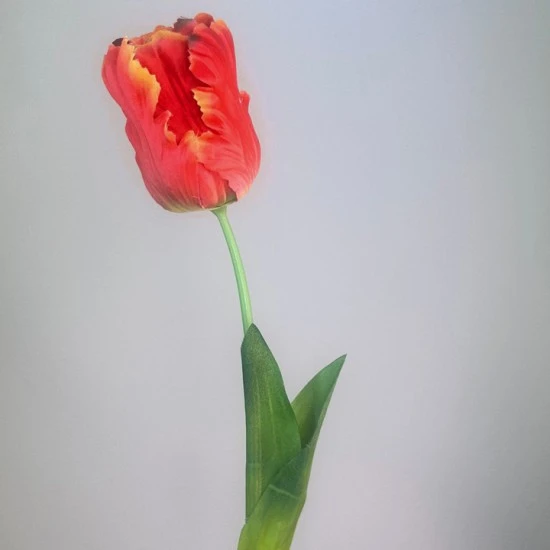 Artificial Parrot Tulips Red Orange 69cm  - T075 R1