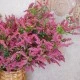 Artificial Veronica Flowers Dark Pink 70cm - V005 Q4
