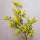 Artificial Veronica Cottage Garden Flowers Yellow 87cm - V022 KK1