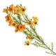 Artificial Wax Flowers Orange 66cm - W032 U3