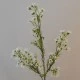 Artificial Wax Flowers White 67cm - W065 