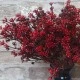 Short Stem Artificial Wax Flower Buds Red 36cm - W071 