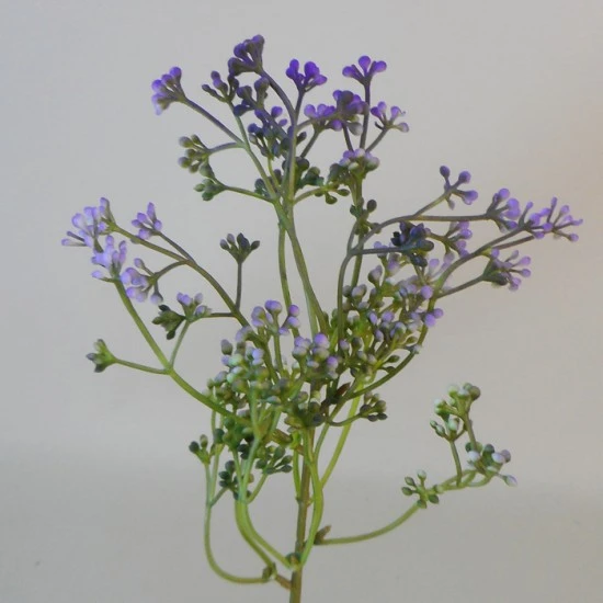 Short Stem Artificial Wax Flower Buds Purple 36cm - W068 FF1