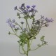 Short Stem Artificial Wax Flower Buds Purple 36cm - W068 FF1