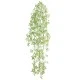 Artificial Trailing Plants White Wax Flower Buds 94cm - W070 BB4