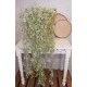 Artificial Trailing Plants White Wax Flower Buds 94cm - W070 BB4