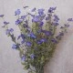 Artificial Wild Flower Plants Blue 62cm - W001 T1