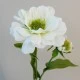 Zinnia and Bud Cream 43.5cm - Z040 S3