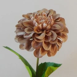 Artificial Zinnias Caramel Latte 46cm - Z005 T3