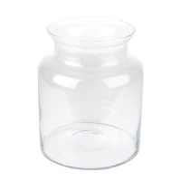 Clear Glass Vases