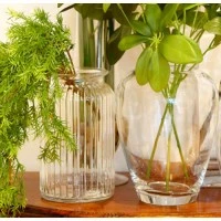 Glass Vases