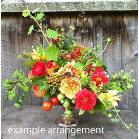 Artificial Cherry Tomatoes on Vine Red - TOM505 JJ3