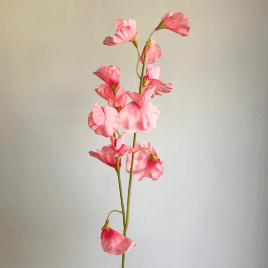 Sweet Peas Spray Pink 48cm - S037 II3