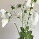 Long Artificial Sweet Peas Stem Ivory - S120 Q2