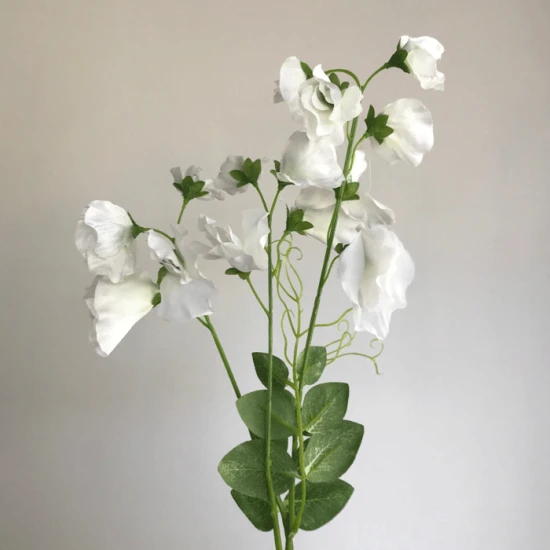 Long Artificial Sweet Peas Stem Ivory - S120 Q2